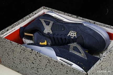 4 Jordan Michigan Retro AJ4 0902
